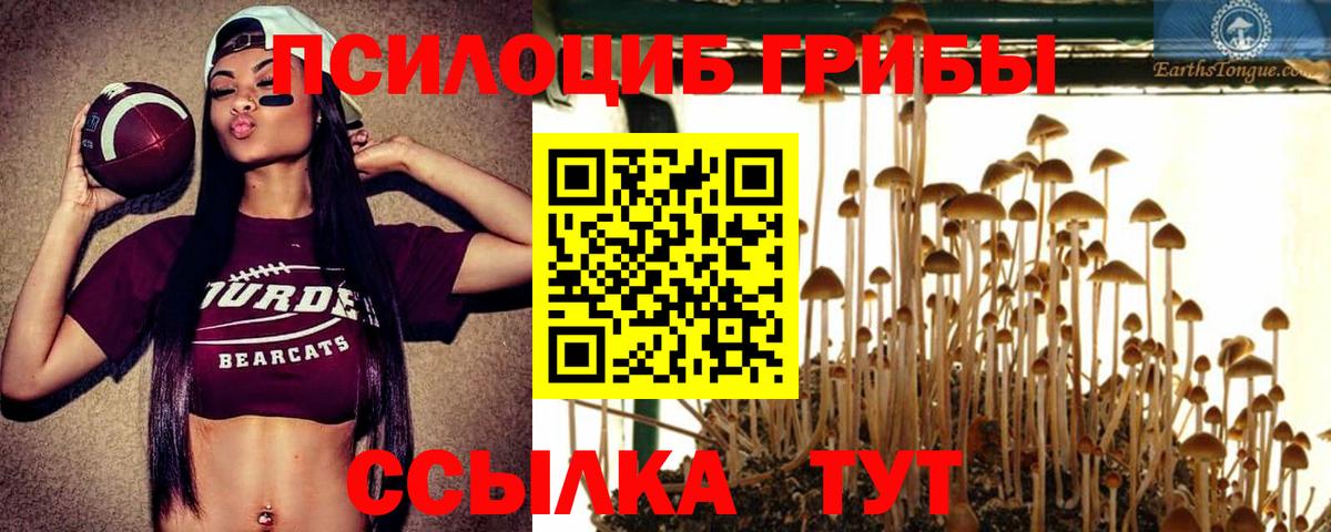 Псилоцибиновые грибы MAGIC MUSHROOMS Ачинск