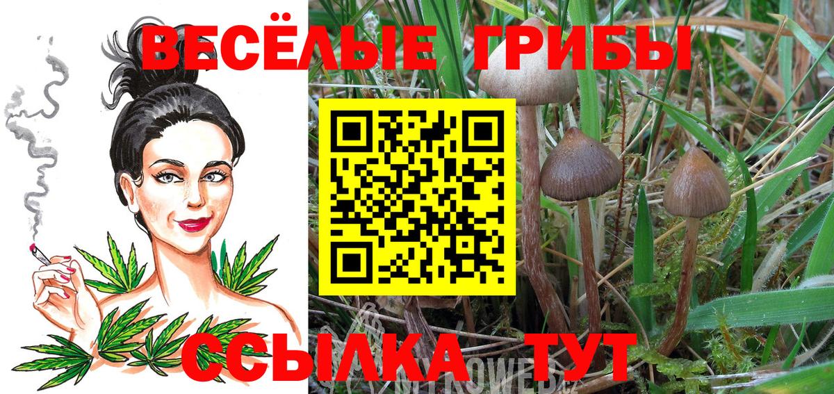 Ачинск  Галлюциногенные грибы мицелий  Вход с VPN 