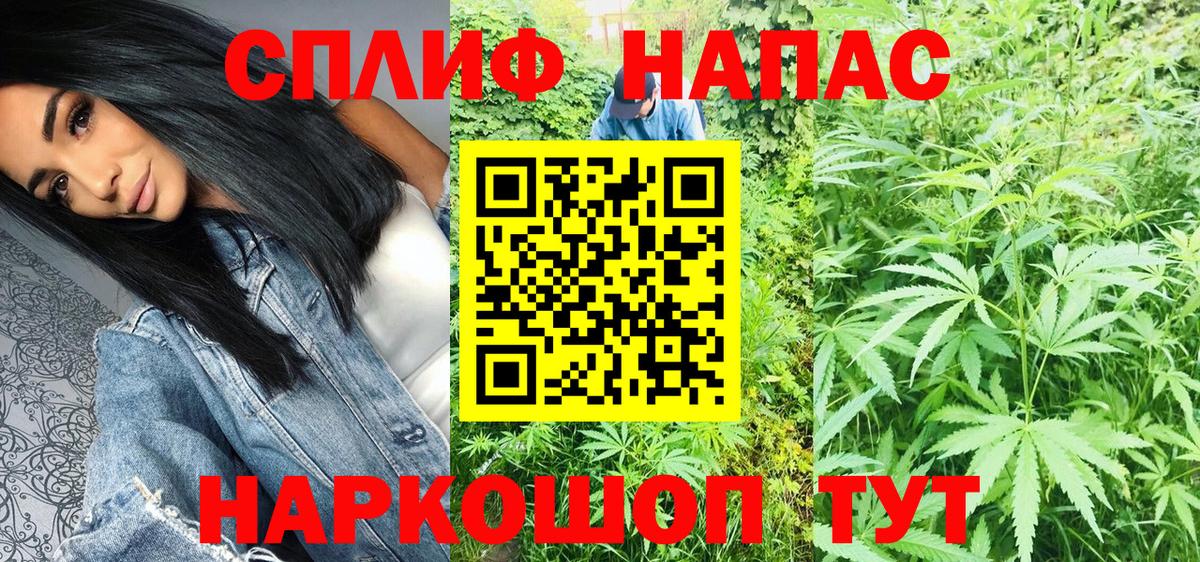 Марихуана планчик  Вход с VPN  Ачинск  Бошки Шишки VHQ  Бошки Шишки планчик  Марихуана THC 21% 